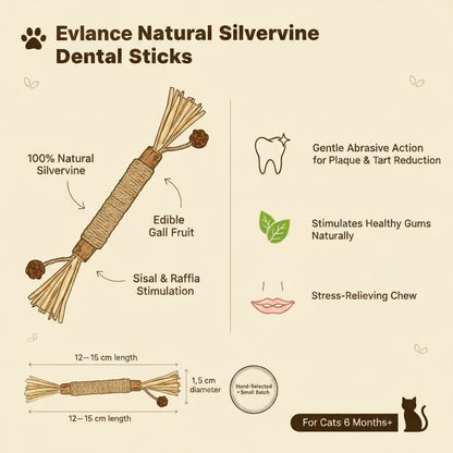 Prevent Costly Vet Dental Surgeries Naturally With Evlance