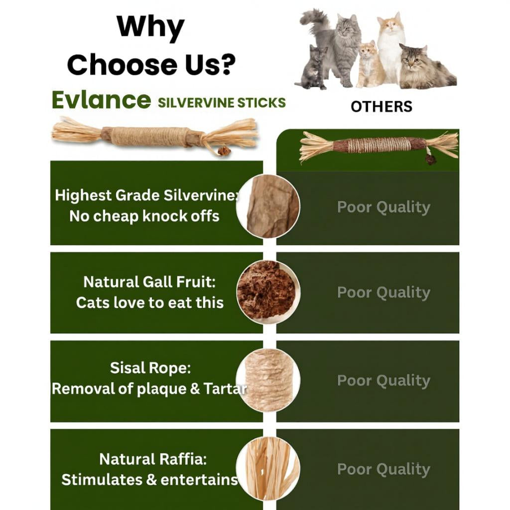 Prevent Costly Vet Dental Surgeries Naturally With Evlance